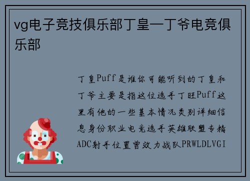 vg电子竞技俱乐部丁皇—丁爷电竞俱乐部